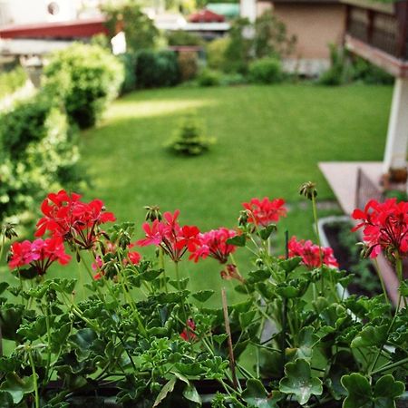 Ferienwohnungen Im Herzen Des Pfaelzerwaldes Elmstein Bagian luar foto