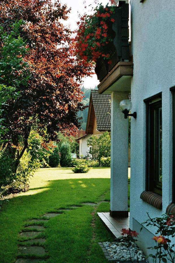 Ferienwohnungen Im Herzen Des Pfaelzerwaldes Elmstein Bagian luar foto
