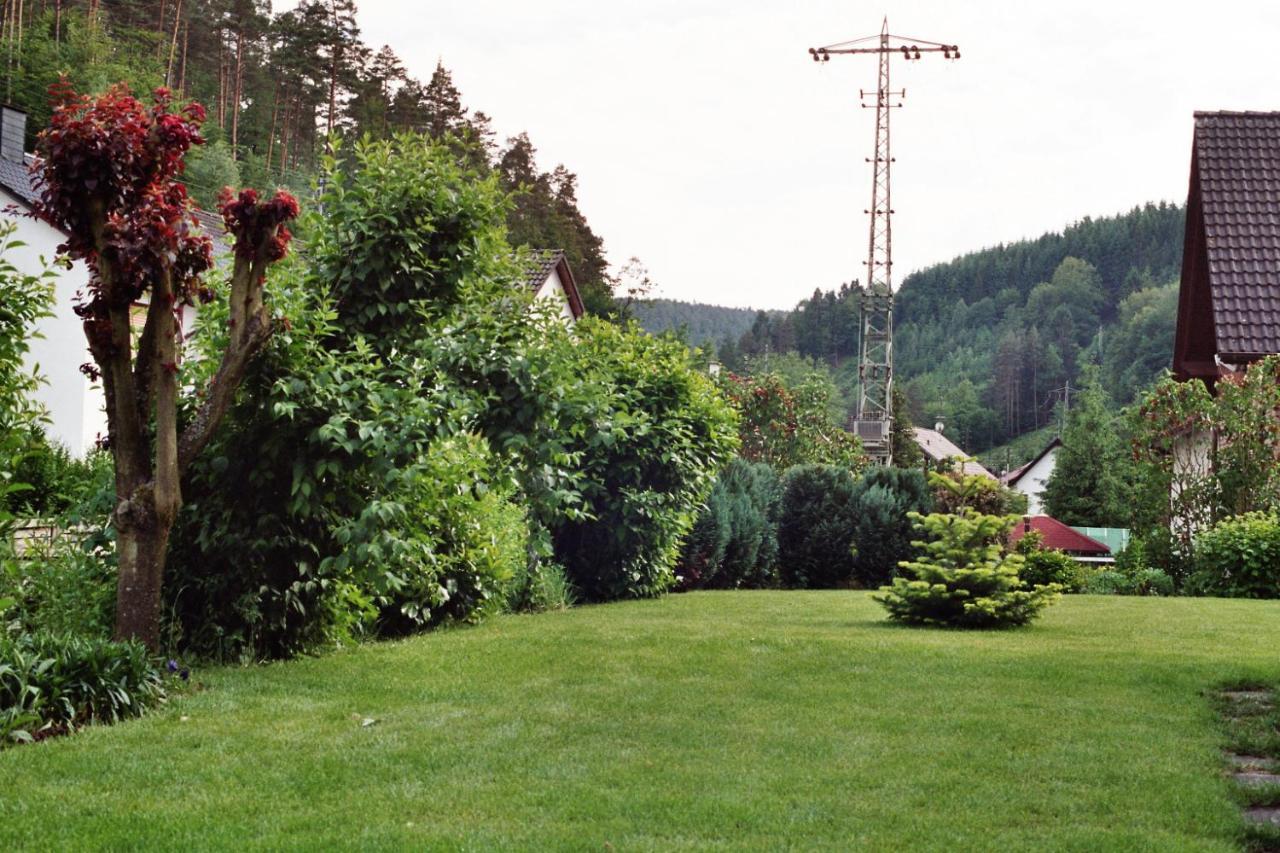 Ferienwohnungen Im Herzen Des Pfaelzerwaldes Elmstein Bagian luar foto