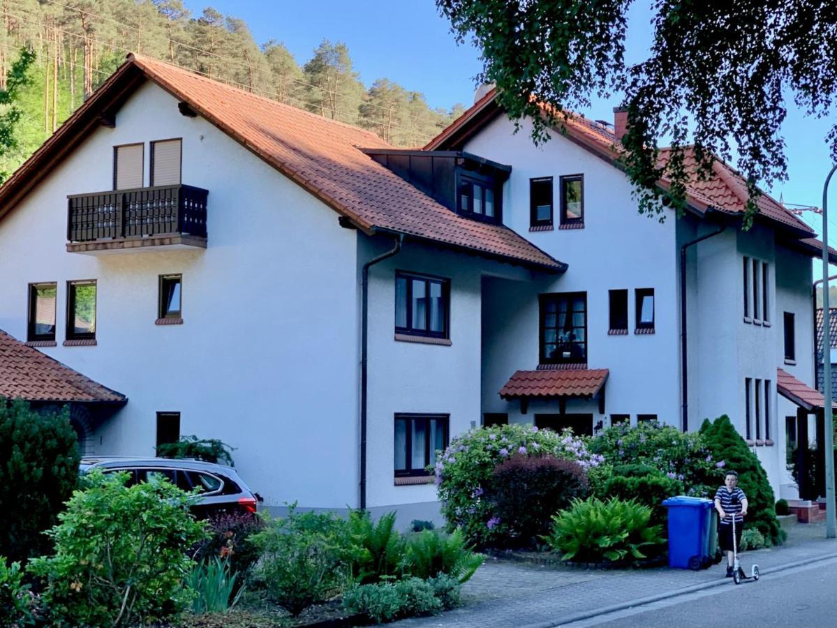 Ferienwohnungen Im Herzen Des Pfaelzerwaldes Elmstein Bagian luar foto